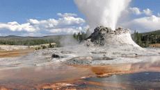 Geysir in Yellowstone National Park, Wyoming