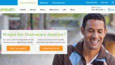 eHealth website screen shot