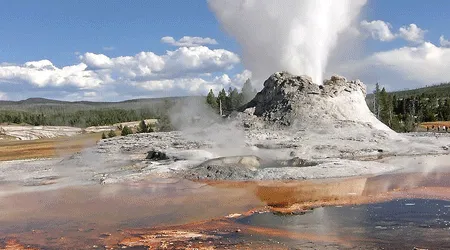 Geysir in Yellowstone National Park, Wyoming