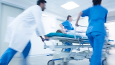 ER activity