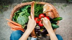 Hands holding basket of garden vegetables