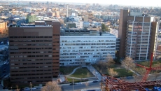 Albert Einstein College of Medicine
