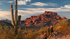 Arizona desert