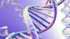 DNA strand