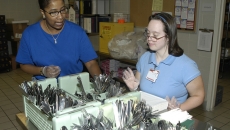 Medicaid expansion boosts employment for disabled