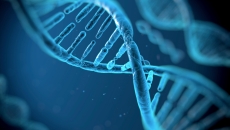 DNA strand