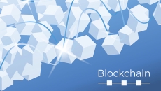 blockchain in healthcare payer and providers