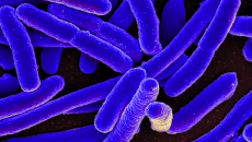 Study: Hospitals fall short with antibiotics use