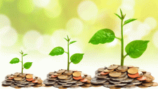 money growth chart