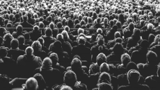 crowd