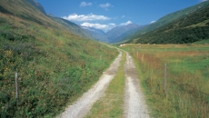dirt road