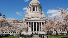 Washington insurance rates to climb steeply