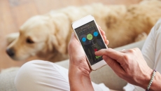 woman looking at home health monitoring app