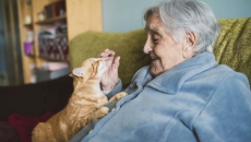 Person pets cat at home