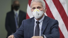 Dr. Anthony Fauci in mask. Photo: Win McNamee/Getty Images
