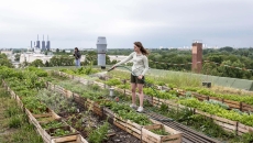 Photo: fotografixx/Getty Images