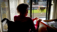 Person in wheelchair by window