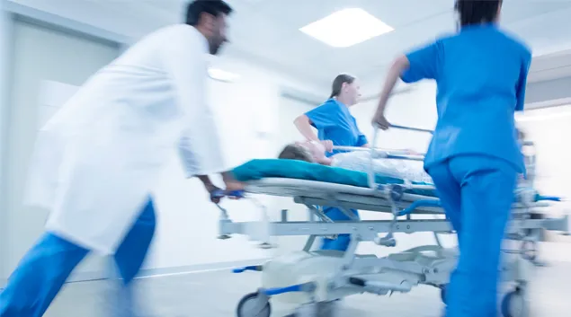 ER activity