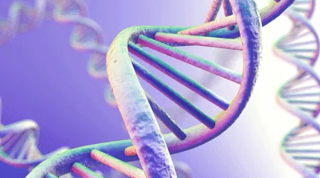 DNA strand