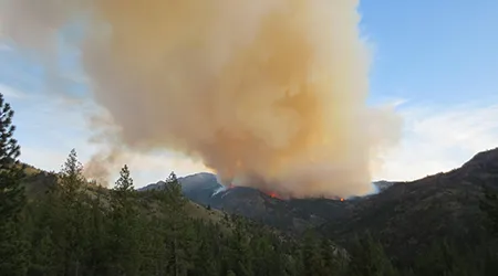 California wildfire