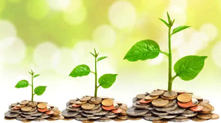 money growth chart