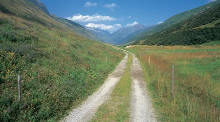 dirt road