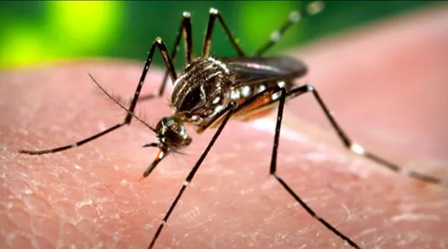 HHS gives $8 million to Moderna Therapeutics to speed development of Zika vaccine