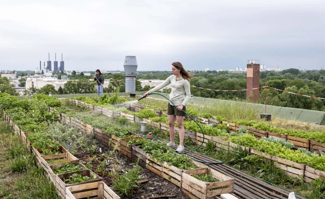 Photo: fotografixx/Getty Images