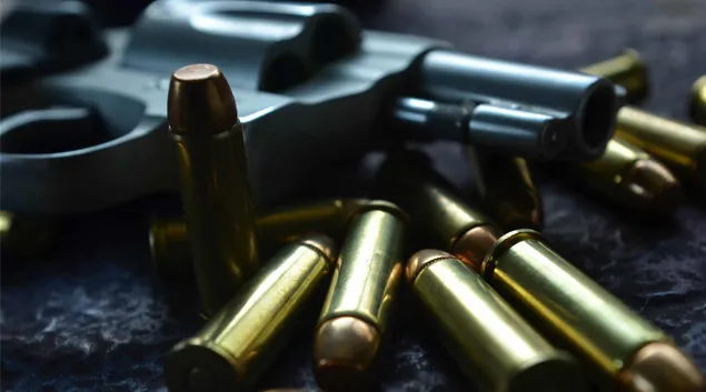 More than eight in ten (86%) adults say they have never had a doctor ask if they own a gun or if there are guns in the home.