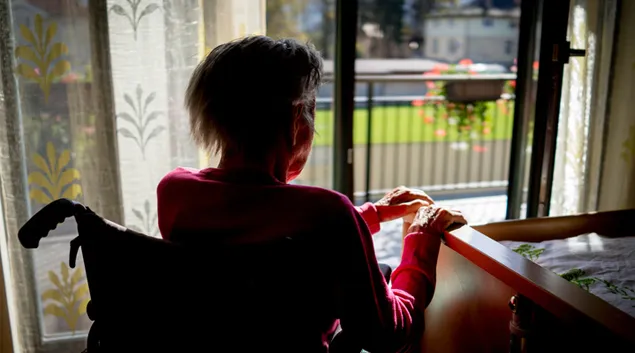 Person in wheelchair by window